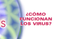Cmo funcionan los virus?